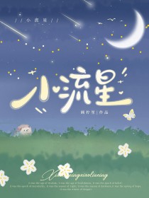 小流星